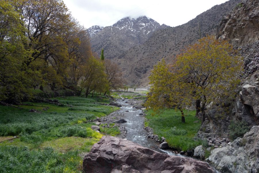 Mount Toubkal Trek Guide | Berber Magic Tours Morocco