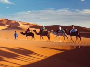 8-Day Morocco Trip: Sahara, Atlas & Imperial Cities
